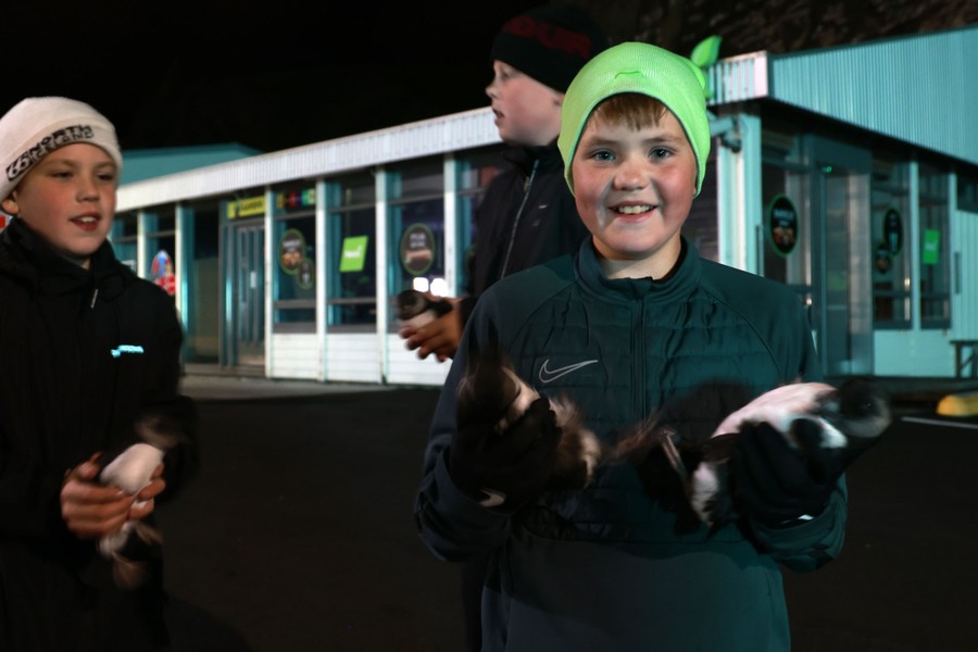Three young people carry small birds outside a building.