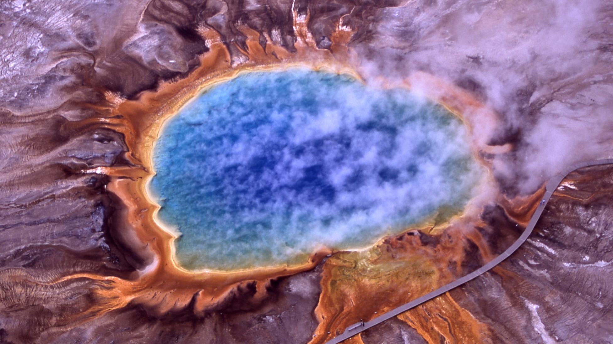 Archaea: The 'Dark Matter' of the Microbial World - The Atlantic