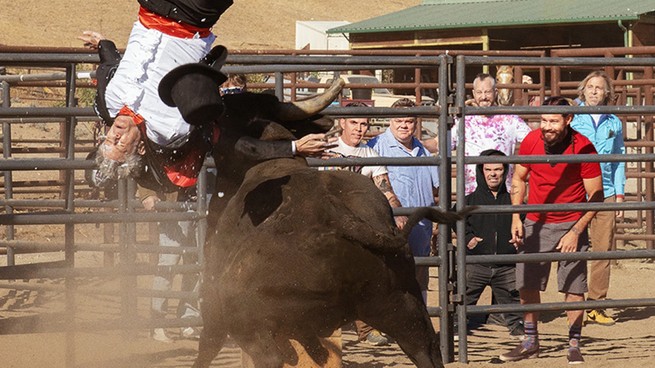 Johnny Knoxville is hit by a bull in 'Jackass Forever'