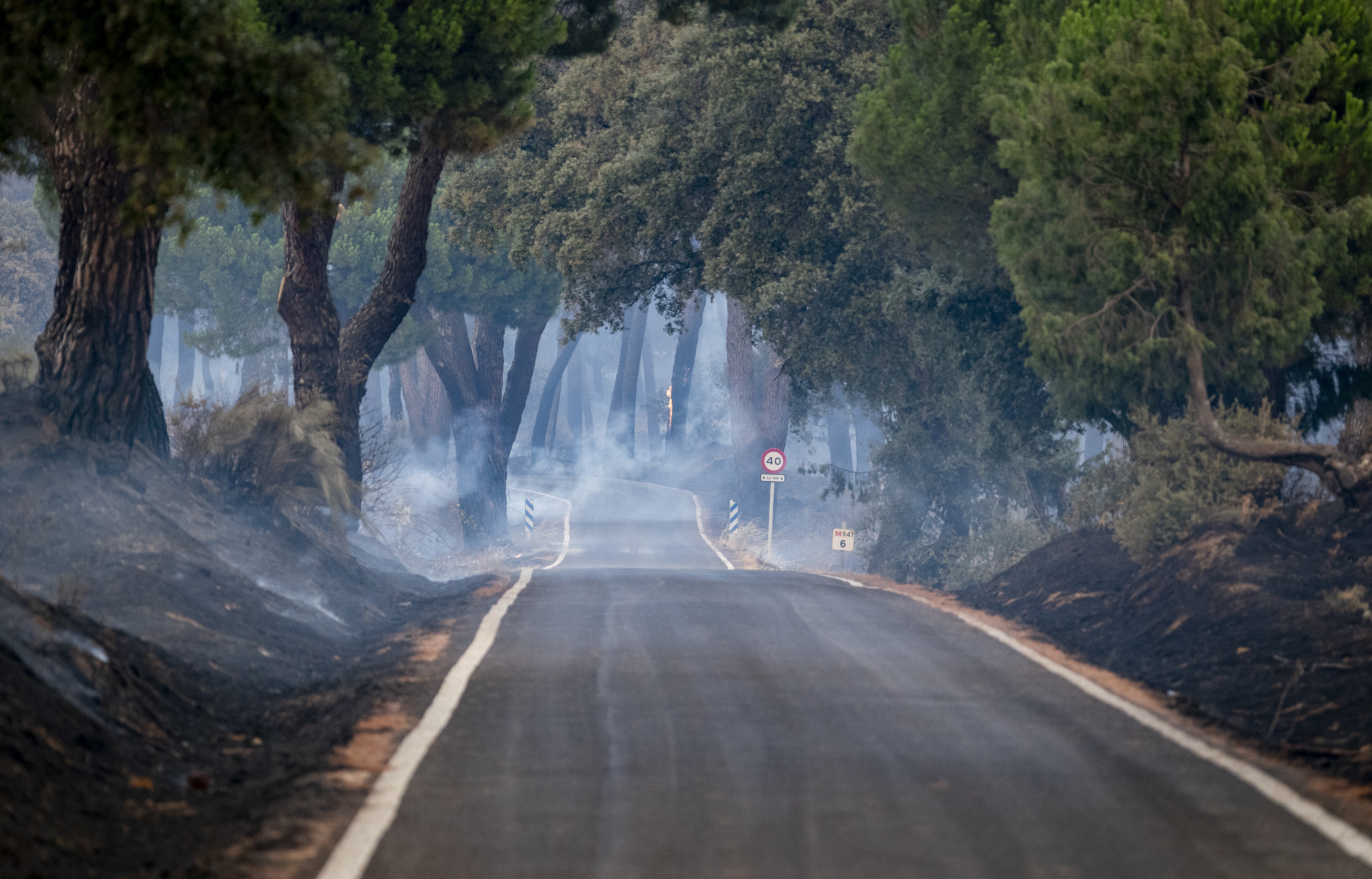 Smoke drifts across a road from recently-burned trees.