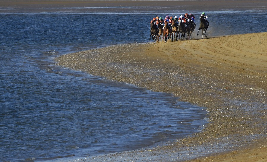About 10 horses ridden by jockeys race along a beach.