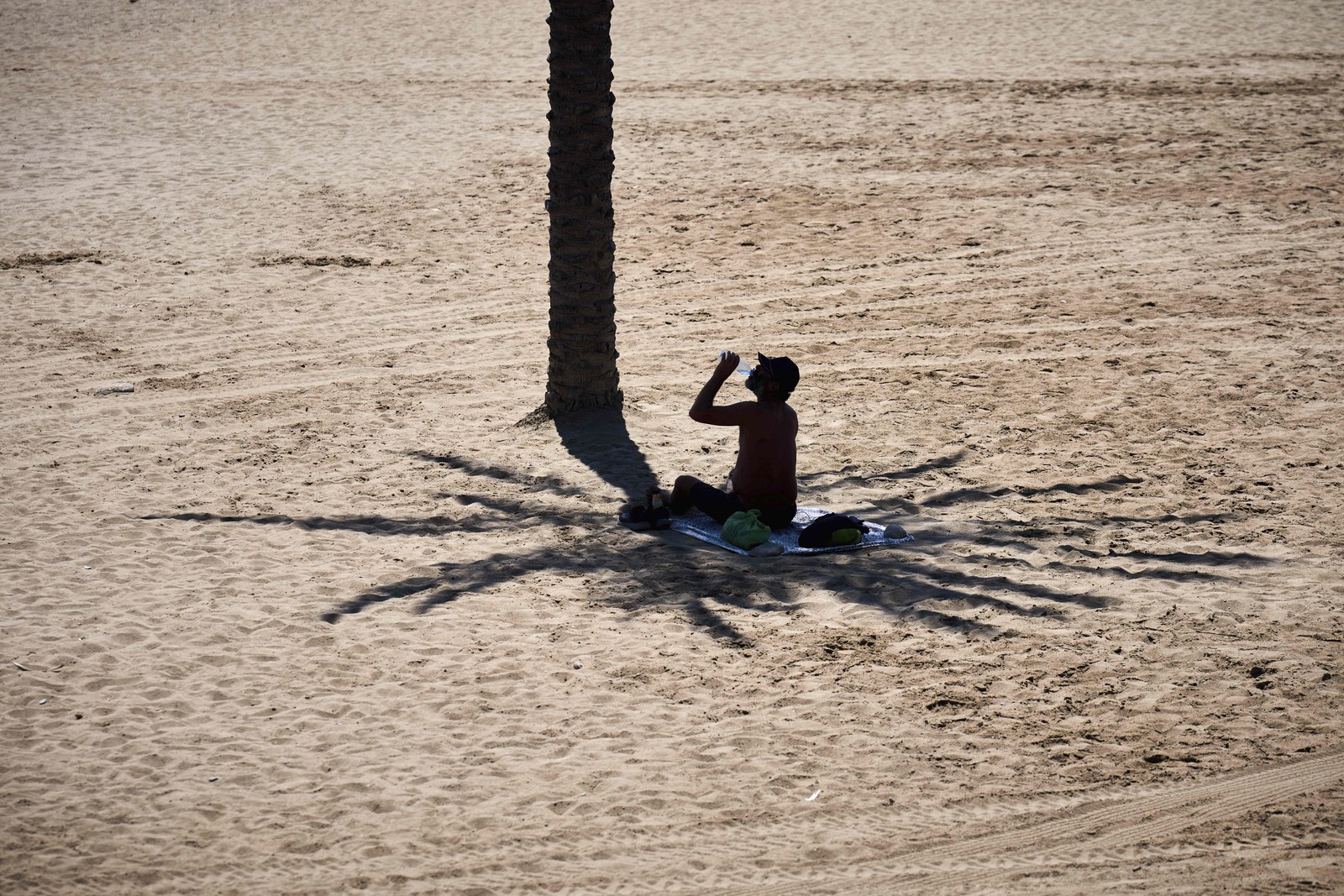 A man takes advantage of the shade of a palm tree on a hot day at the beach.