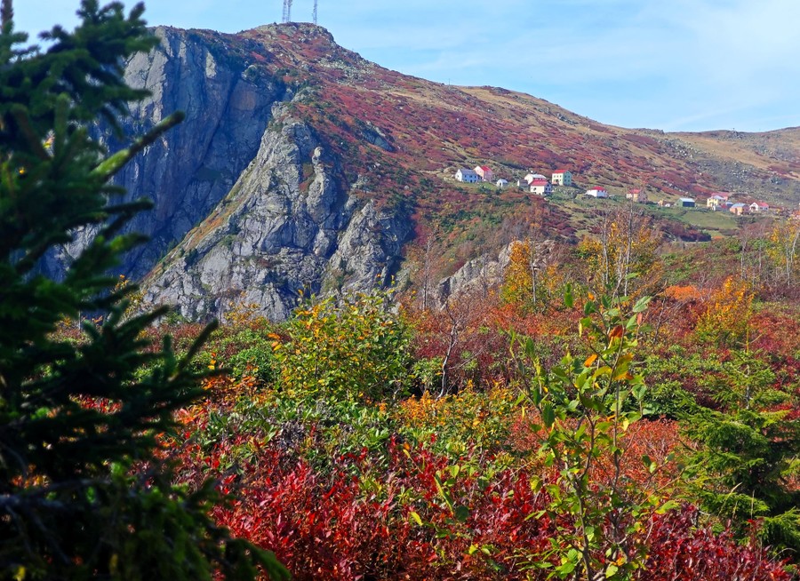 Houses sit on a mountain slope among many red, yellow, and green bushes and trees.