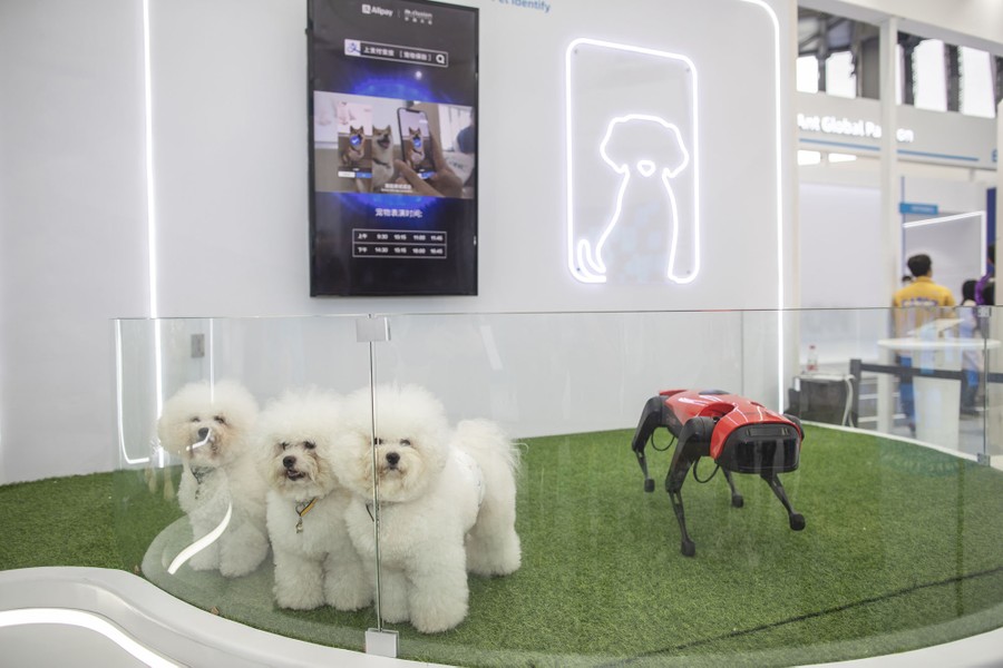 Three real dogs stand in a small display enclosure beside a robotic dog.