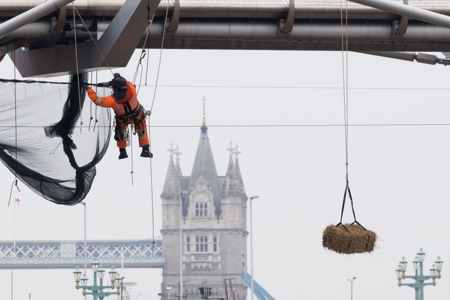 Workers operate under a modern bridge with a bale of hay dangling from a rope nearby.