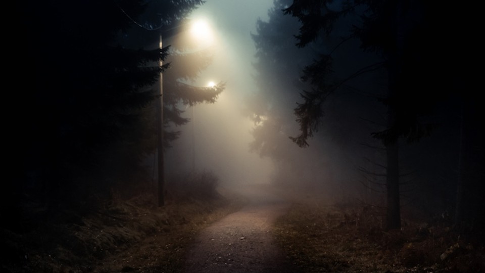 A dark forest road in the night