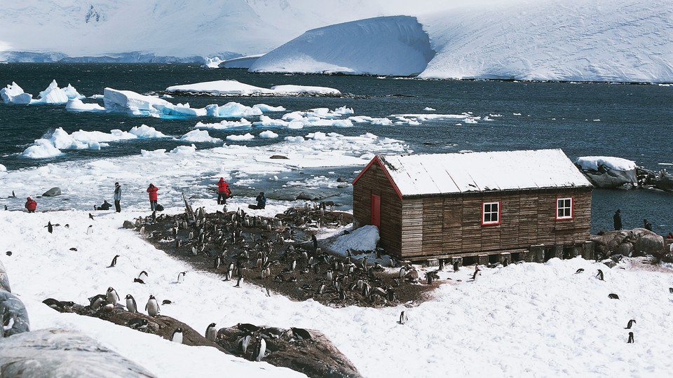 Penguins around the old British base of Port Lockroy in Antarctica