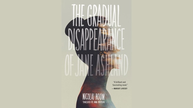 book cover for "The Gradual Disappearance of Jane Ashland"