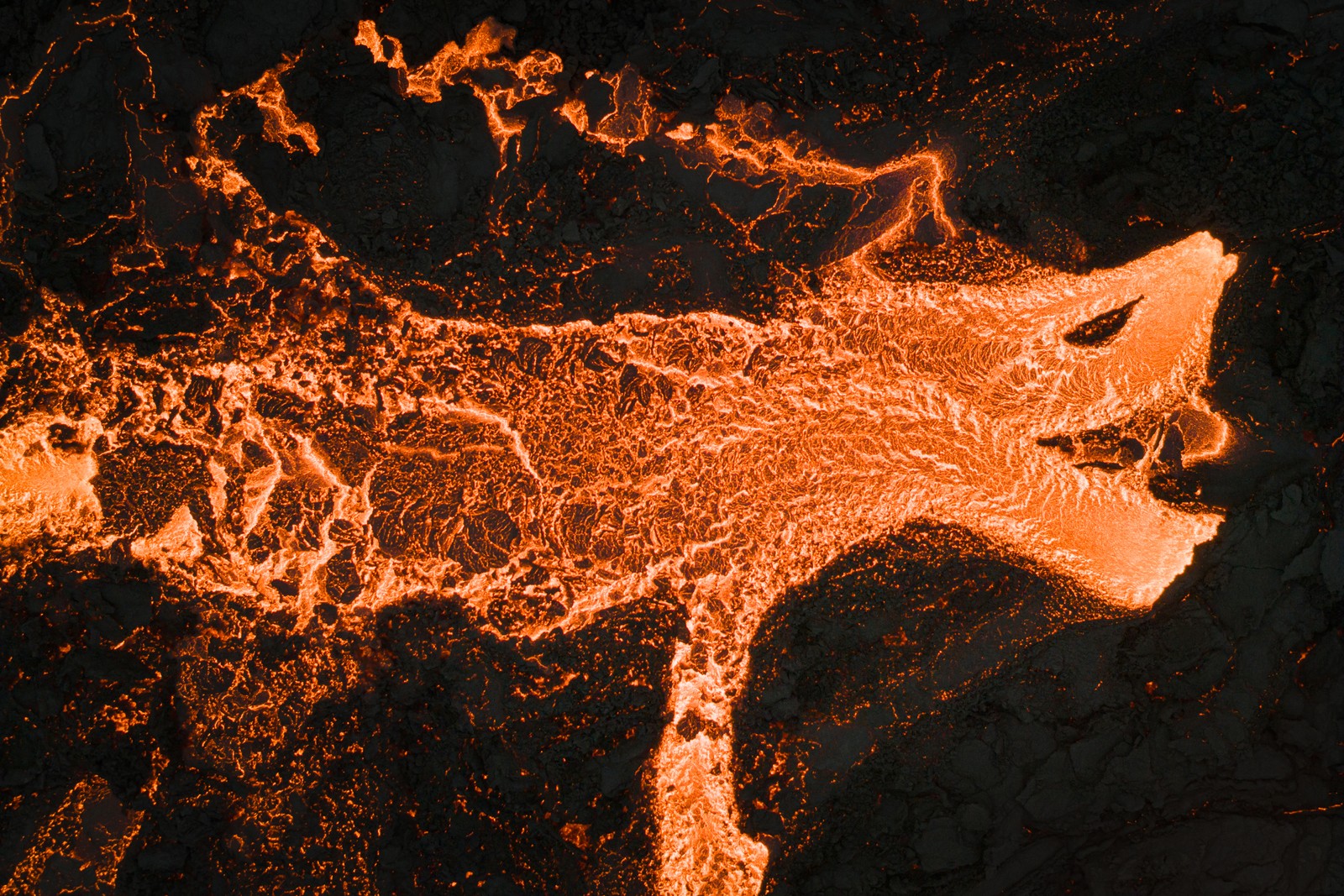 An aerial view of a lava flow, its outline roughly resembling a dragon.