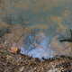 Image of Sewage Spill Into Potomac River Could Be Largest In US History