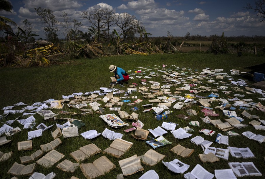 A person lays out hundreds of books to dry on a lawn.