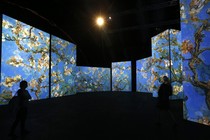 Several large projections of Van Gogh paintings