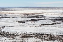 Hudson Bay Lowlands