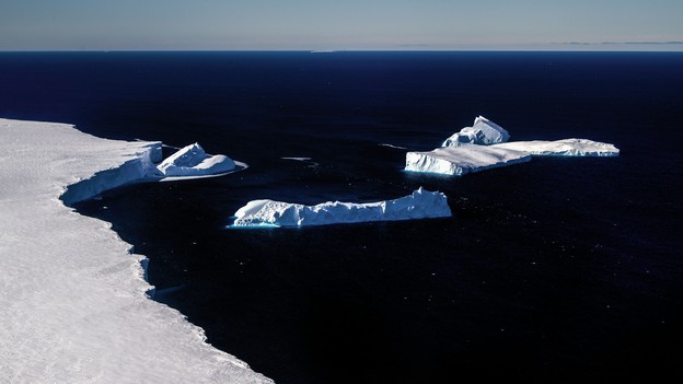 photo of curving white edge of glacier with several calved icebergs and dark blue sea