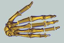 A skeletal hand made up of Greek columns.