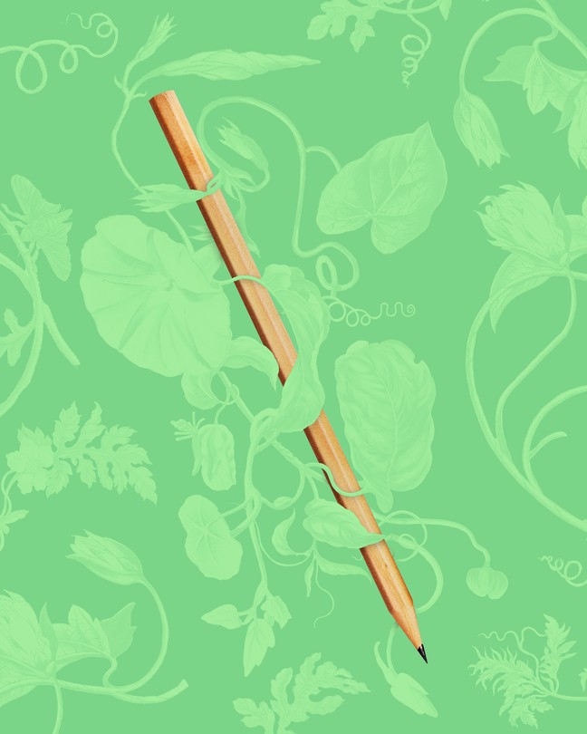 Graphic illustration of a brown pencil against a leafy green background.
