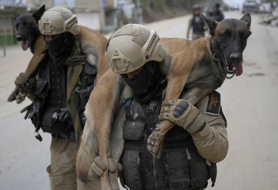 Two rescue workers walk on a street, carrying dogs over their shoulders.