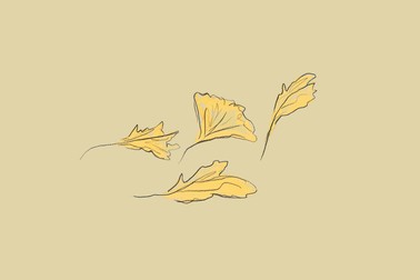 Several yellow fall leaves on tan background