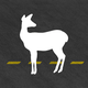 Silhouette of deer on road