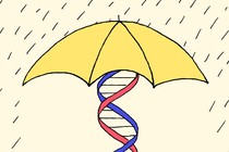 an illustration of an umbrella held up by a DNA helix