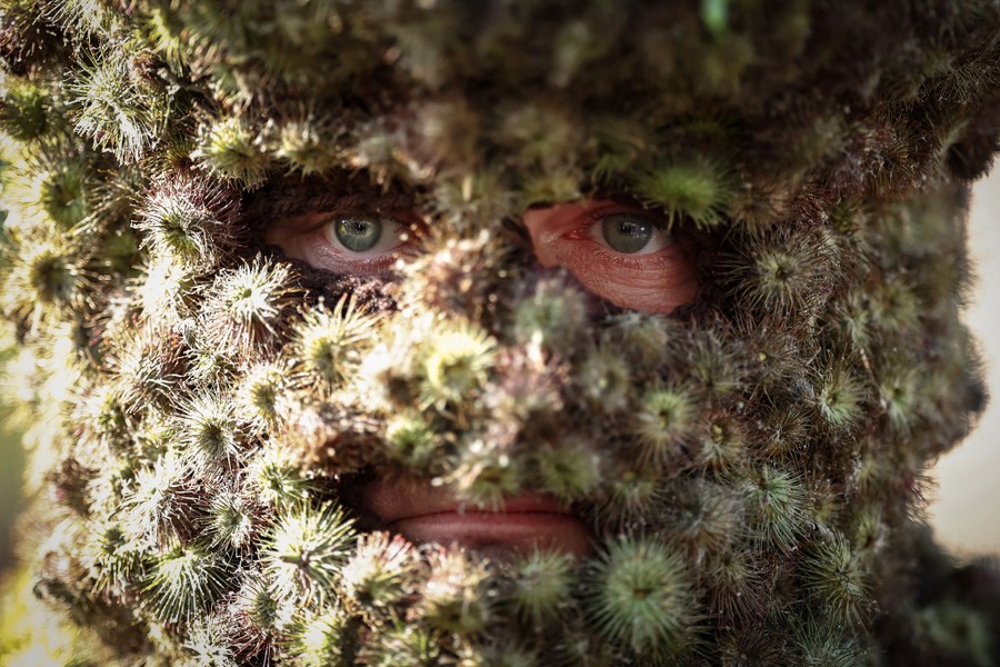 A close view of a man in a mask and costume covered in burrs