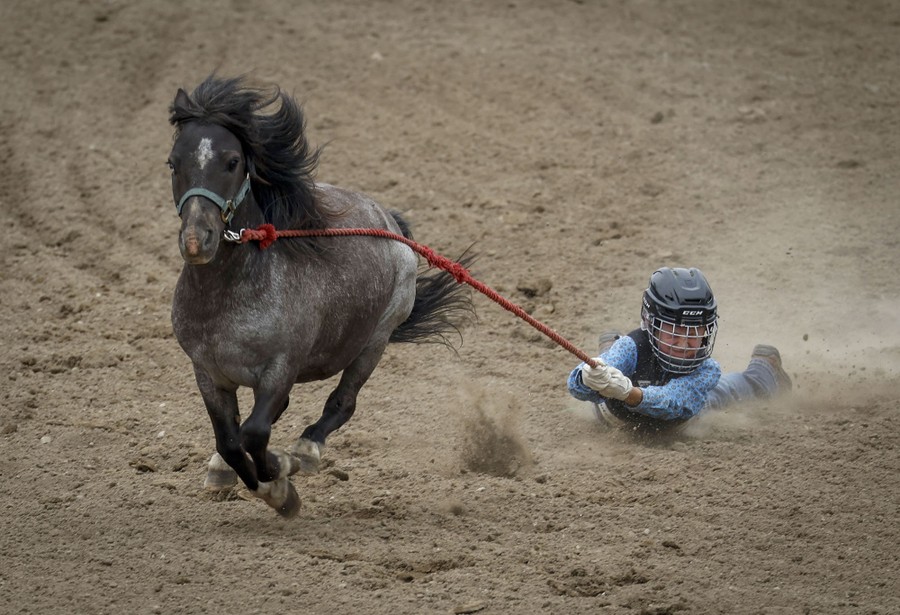 A person wearing a helmet holds on to a rope as they are dragged through dirt by a running pony.