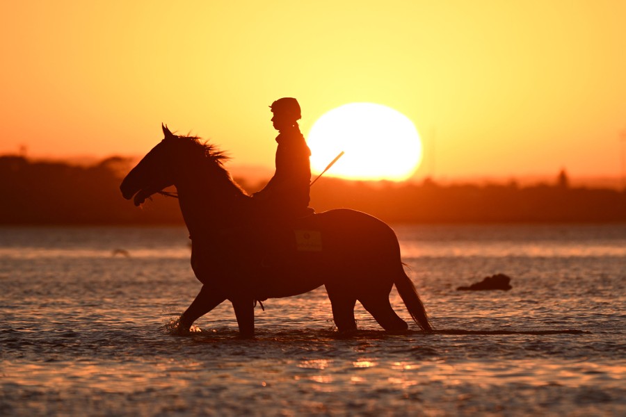 A person rides a horse in shallow water, with a low sun in the background.