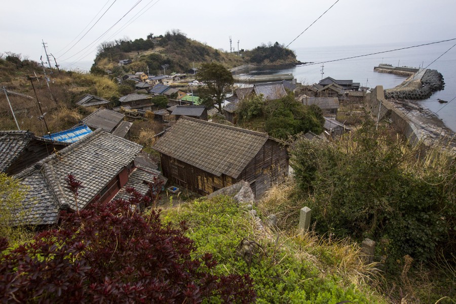 Aoshima, a Japanese 'Cat Island'In Aoshima more than a hundred cats  prowl the island, curling up in abandoned hous…