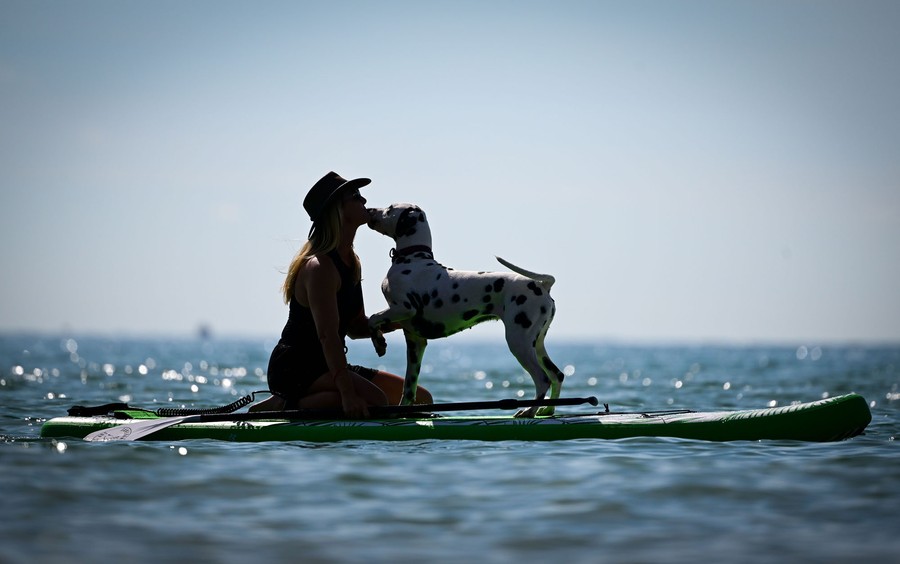 A woman kneels on a floating surfboard with her dog, which leans in and licks her face.