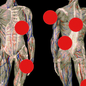 Illustration of two human bodies with red dots overlaid.
