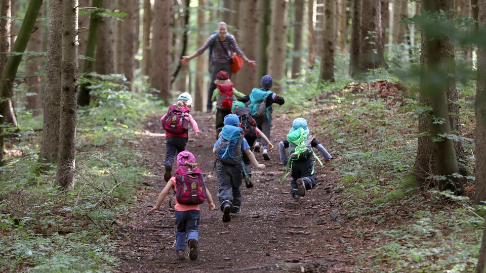 Kids with backpacks running up a forest trail