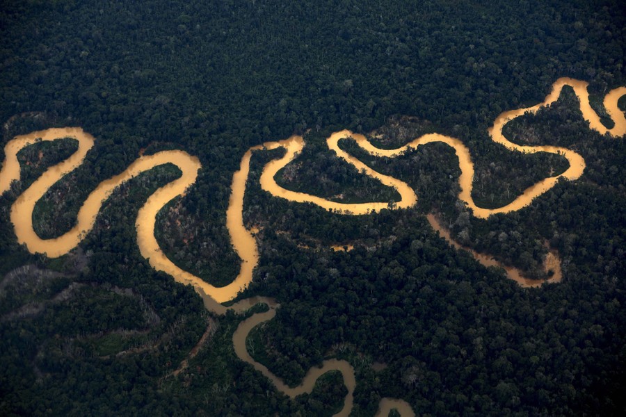 An aerial view of a twisting river running through a forest