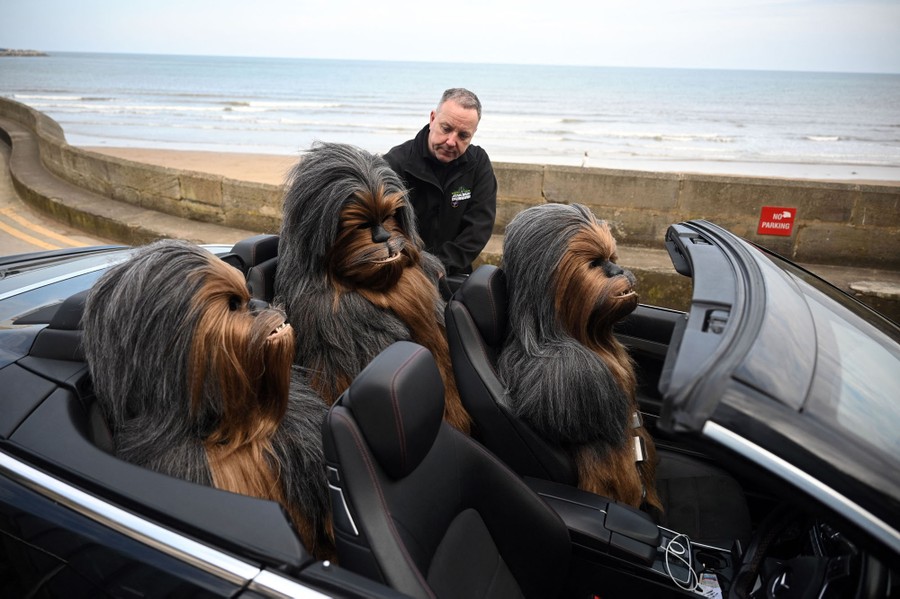 A person stands beside a convertible car with three Wookiee mannequins seated inside.