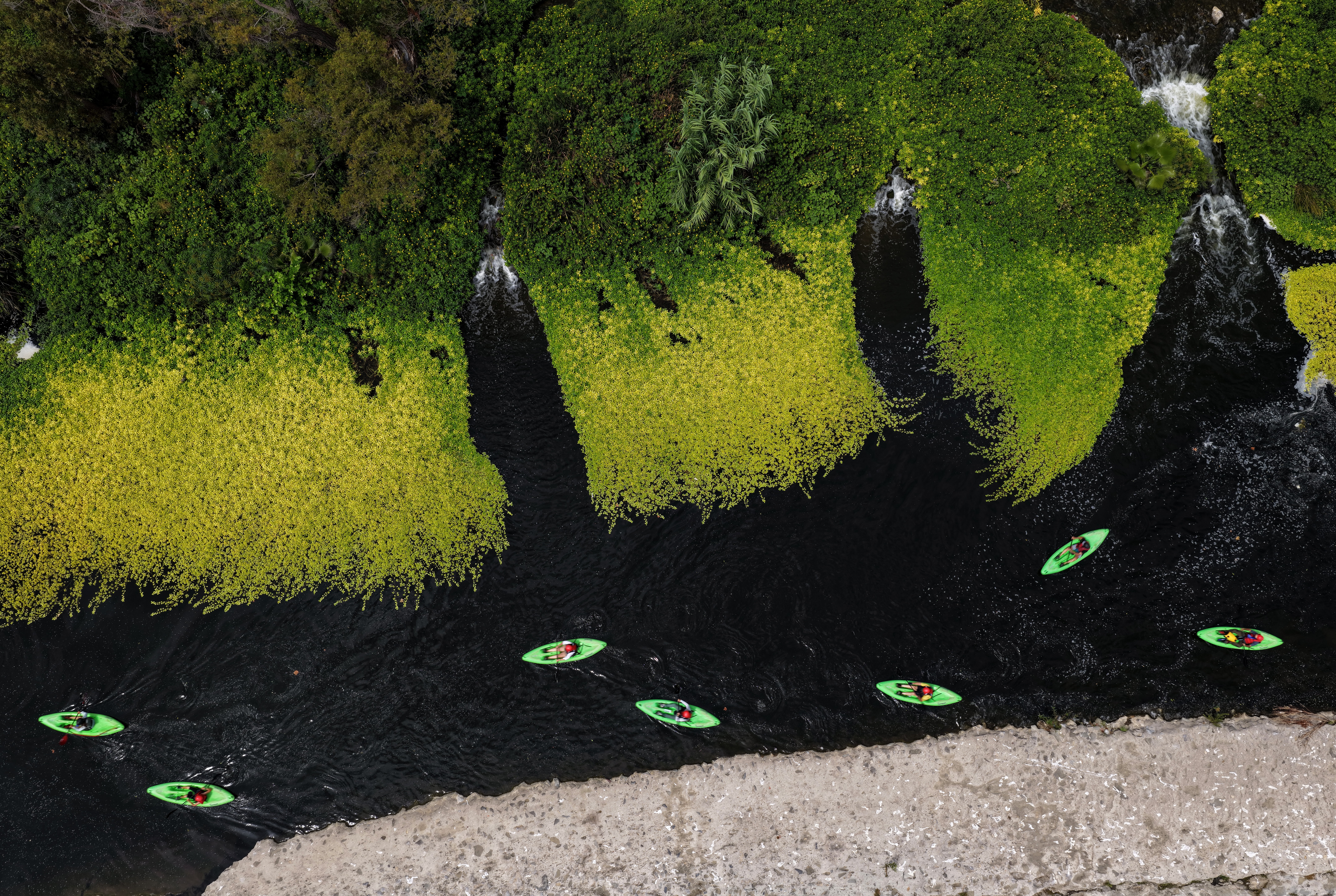 An aerial view of kayakers in a river, passing greenery