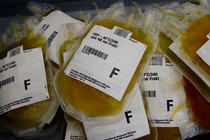 Bags of blood plasma