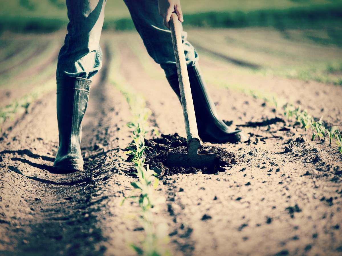 As Farmers Fade, Who Will Care For the American Landscape ...