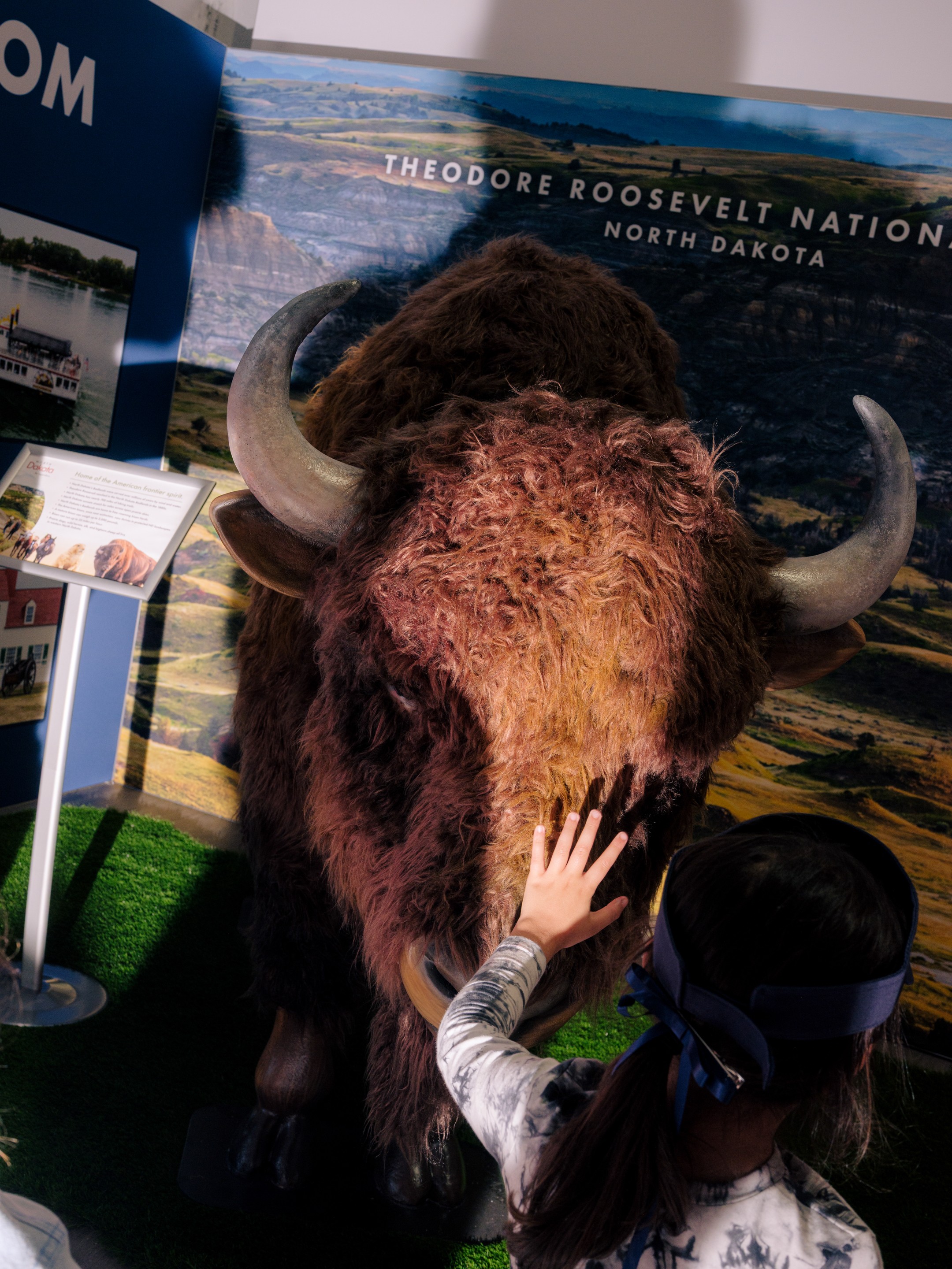 a girl touches a buffalo display