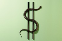 two black rods with a black snake in an S-shape form a dollar sign on a pale green background