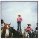 photo of Black boy in boots, jeans, pink long-sleeve button-down shirt, and cowboy hat, hands on hips, standing on the saddle of horse next to several other people on horseback
