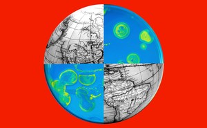 An illustration of the planet and cells under a microscope.