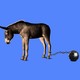 An illustration of a donkey with a ball and chain.