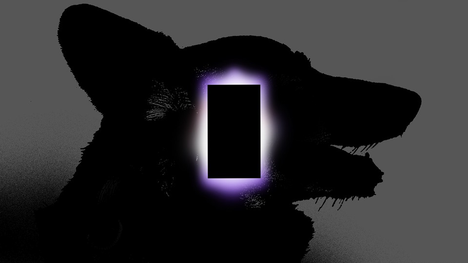 An illustration of a dog's silhouette with a glowing black rectangle in front of it.