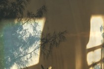 The silhouette of a person standing on a balcony, superimposed onto a sky lined with trees