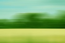 A blurred image of a tree-lined landscape