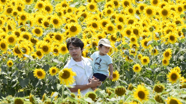 Japan’s Paternity Leave Is Generous, But Few Dads Take It - The Atlantic