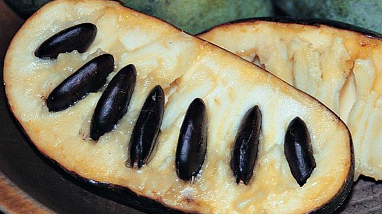 Why Americans Don't Eat Pawpaw - The