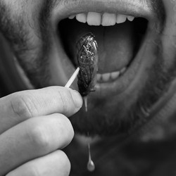 An open mouth eating a cicada