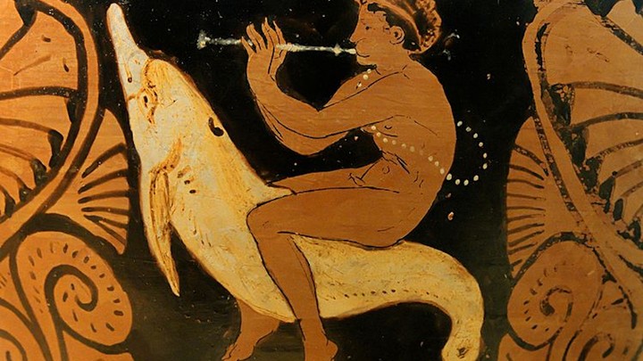 A detail from Etrurian pottery showing a youth playing a flute and riding a dolphin, 360–340 B.C.E.
