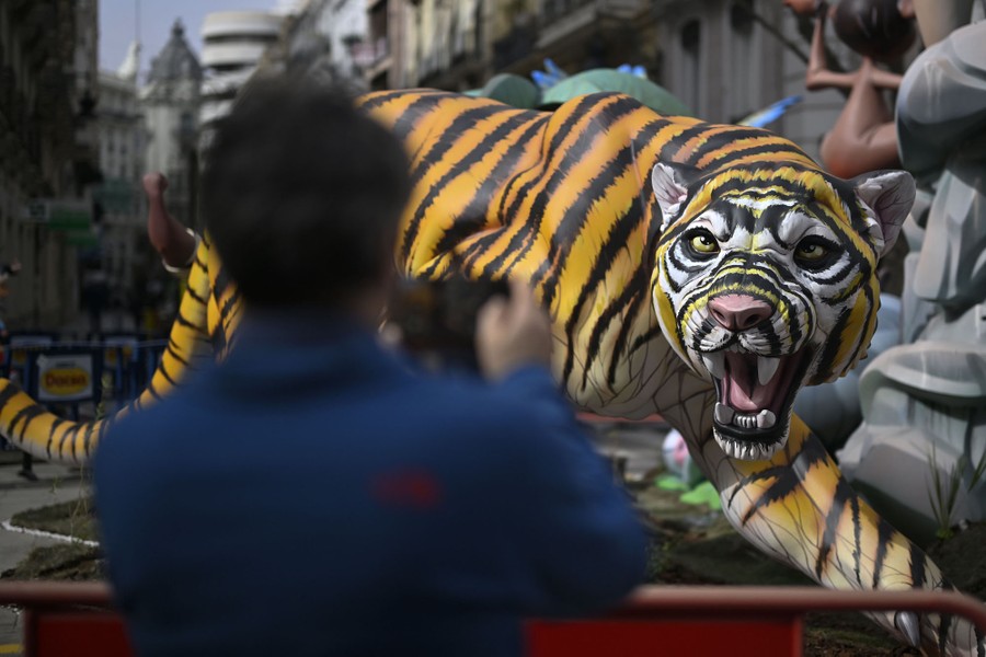 A person takes a photo of a life-size tiger figurine.