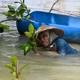 A person works in chest-deep water, planting mangrove shoots.